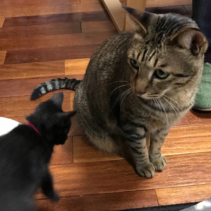 93a072db b78e 4ea2 8253 9d1db163d03c