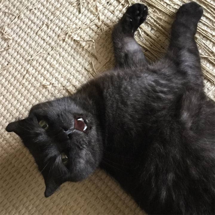 93a08425 53cf 4b35 ac6f c76201955fa4