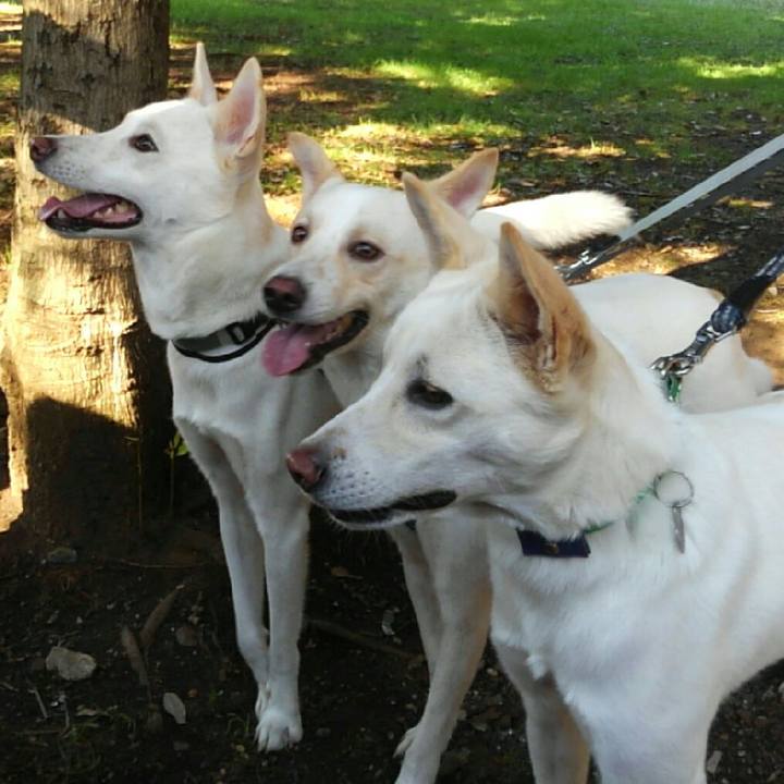 93a109b7 7719 4c3d 92e8 db54c6d38194