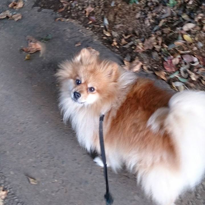 93a140bc 7fb8 433d ab29 ff7192f823eb