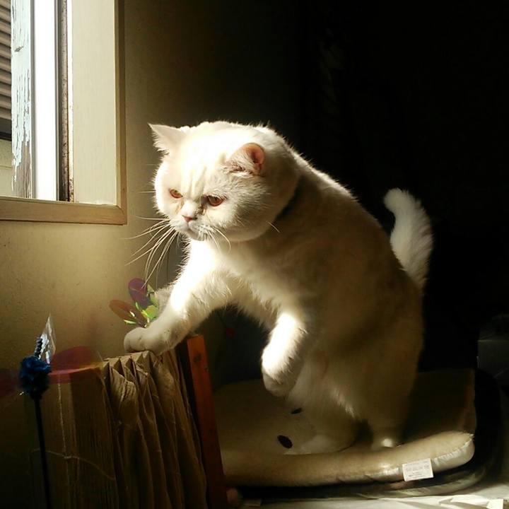 93a1ae61 8dc4 49f1 b44c 9e1f4adab7ff