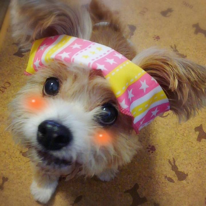 93a27167 5c81 4d76 b164 83b0f1971937