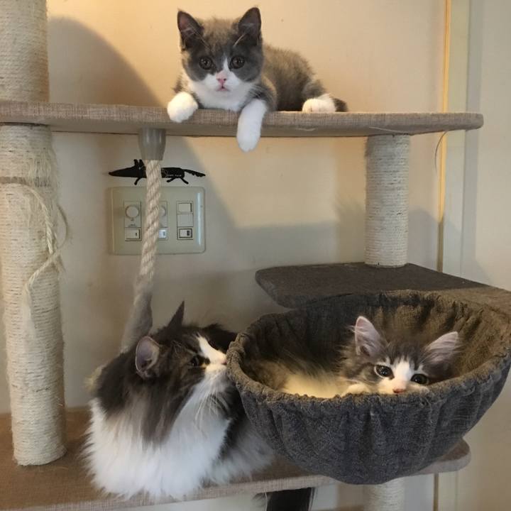 93a2db50 3dab 46df b44f d097e6084682