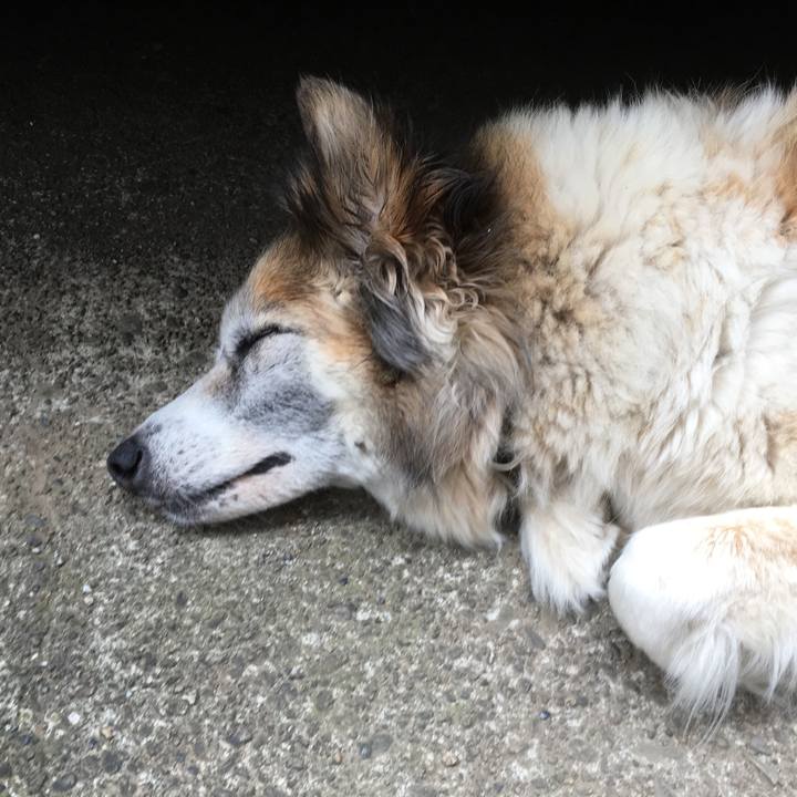 93a2deef 6871 4433 8374 1096e167feaa