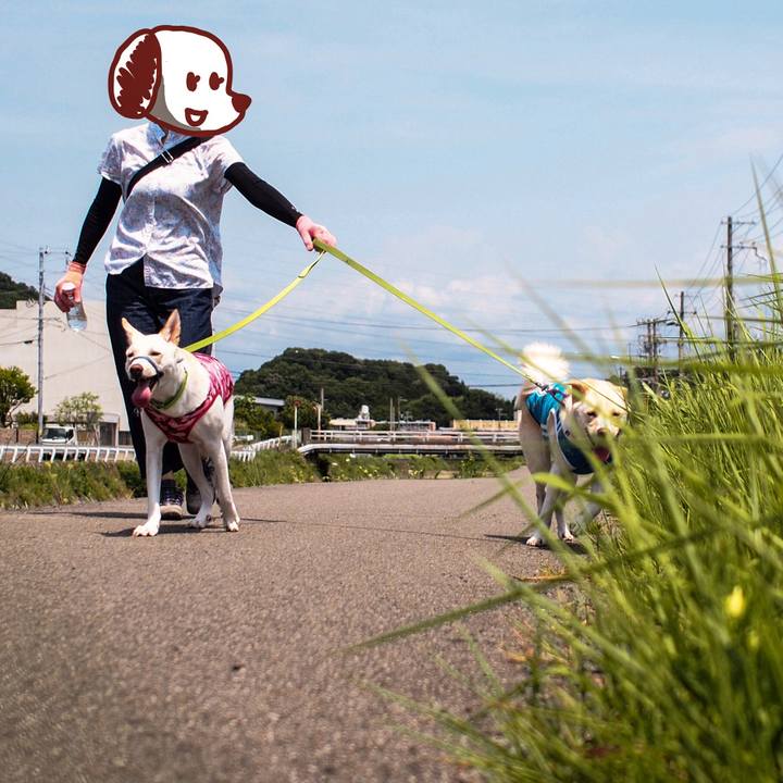 93a2fb88 77ee 4a5f a0e4 794a6f30a65f