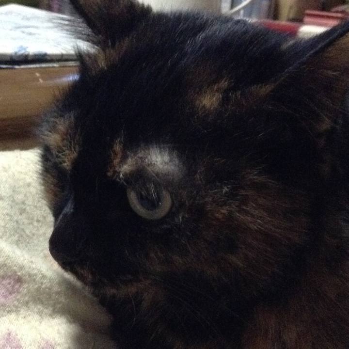 93a32a56 f62b 4d4e 8aa3 e513e5d17e82