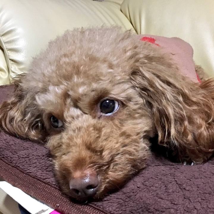 93a33068 af6e 411f b918 f04a7b65b7ab