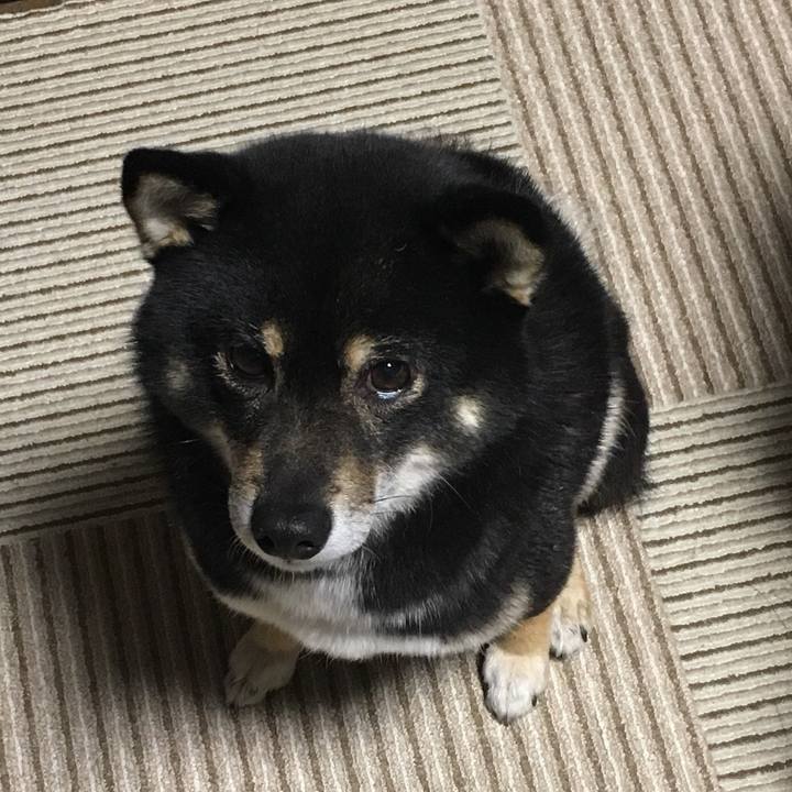 93a3f5e1 2f99 438a 84a5 083b8de632e6