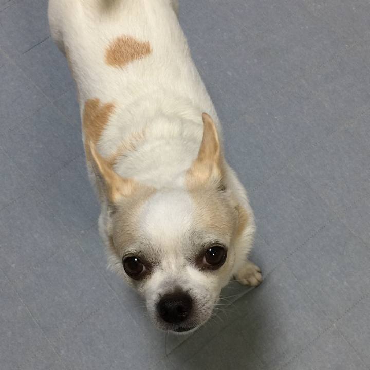 93a445eb f678 46d7 8c8f 99c224a3e8c1