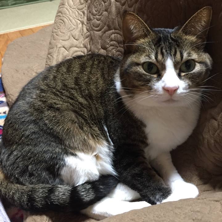 93a6053f ddc5 4277 b2c0 54aefd7ad9ce