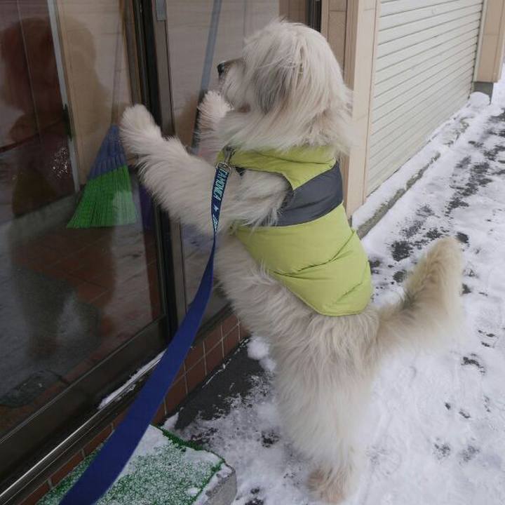 93a673d2 9988 412e be91 8ce50176739d