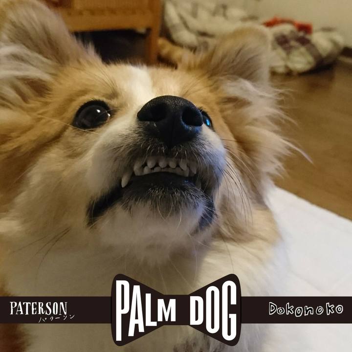 93a7997e 8923 49c0 870b 142b65ac3e75