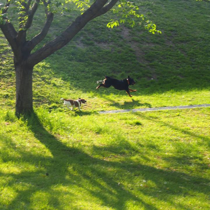 93a87ef8 6804 4992 952e 0bd09db41676