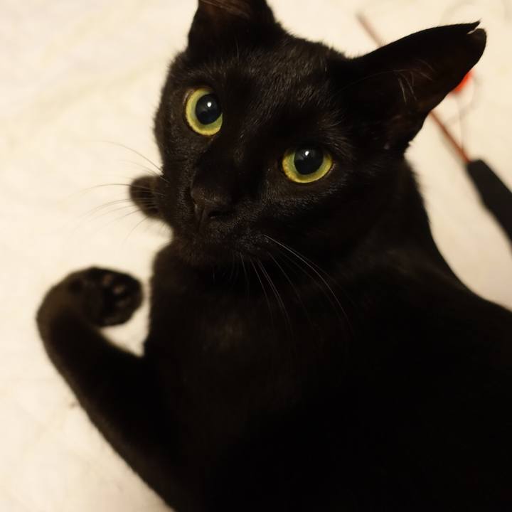 93a8acd0 c736 4116 91a6 d4d4608b3a4b