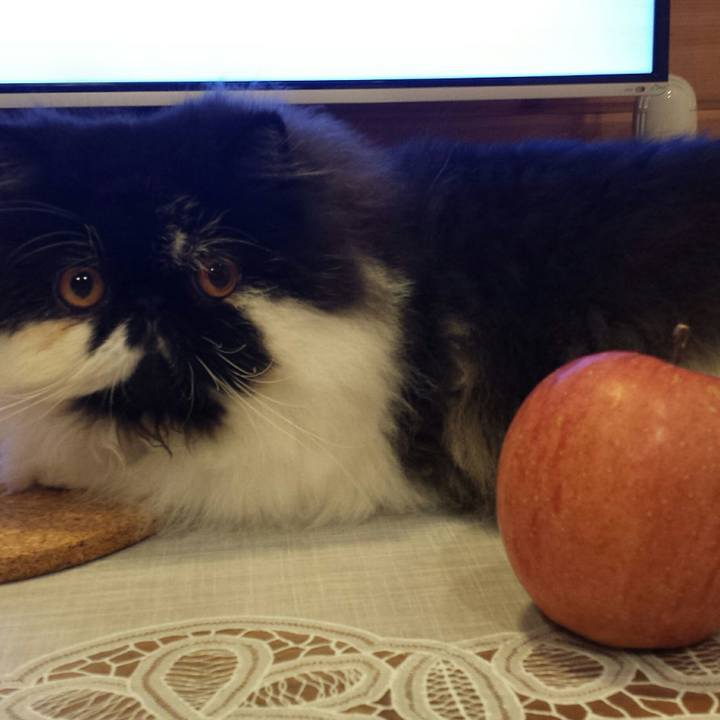 93a8ae8d 6262 4247 b632 3cdedba3ec2d