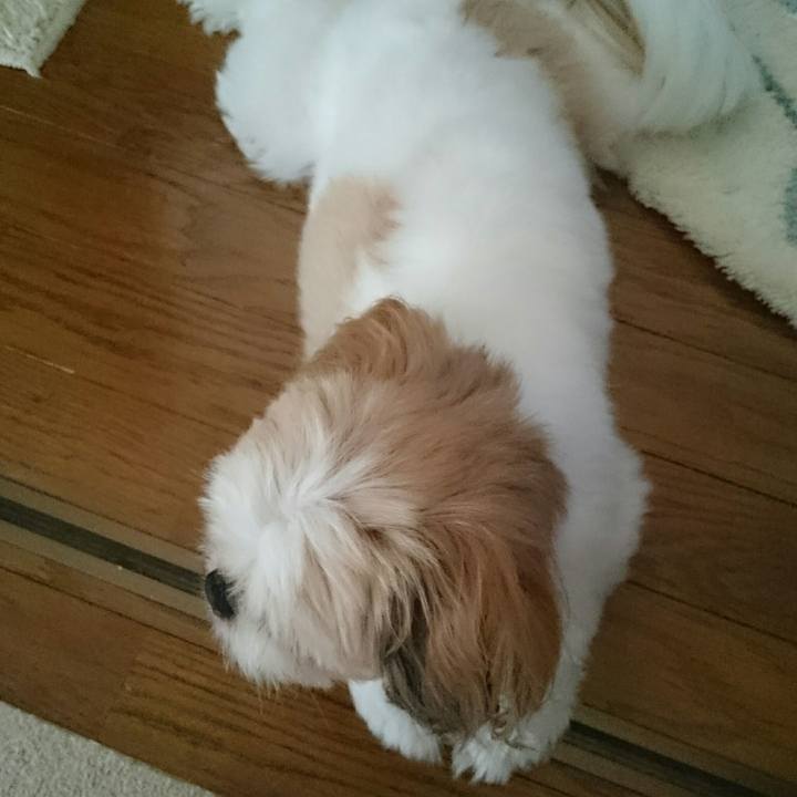 93a90428 f2bd 4506 a44d c4fd24a5d963