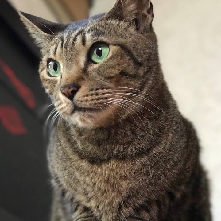 93a90f12 2c0f 4f2b b03a 75f4c14c7b47