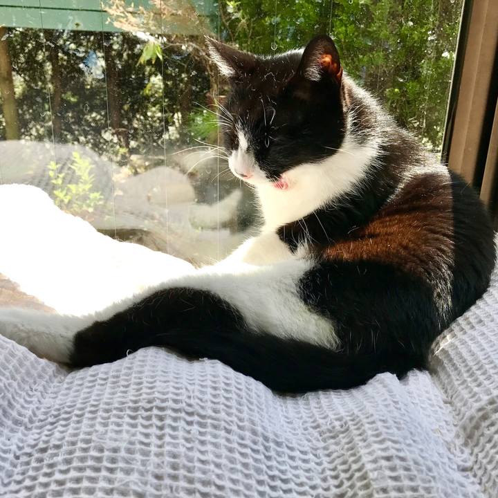 93a95ffc fb4d 44de 9f77 0d6ca18340f4