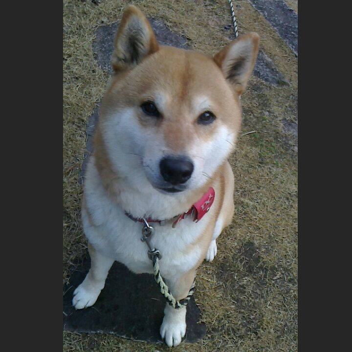 93a99d5c ddaa 4f79 b9a4 2d4838143c90