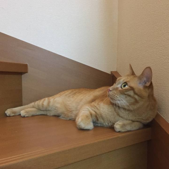 93a9ee5f d006 4b28 ba53 56c9de226eed