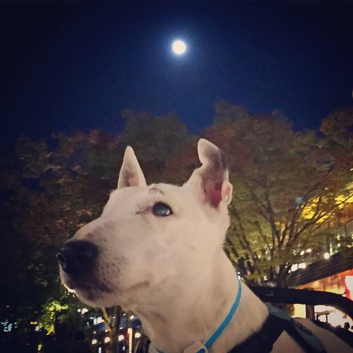 93aa5347 3d5e 44d5 9ad7 54b1bdc4b4f4