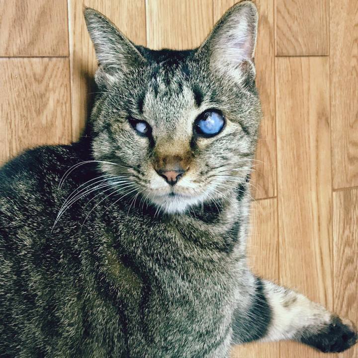 93abf136 7993 46ee b92d 82b1f6f274f2