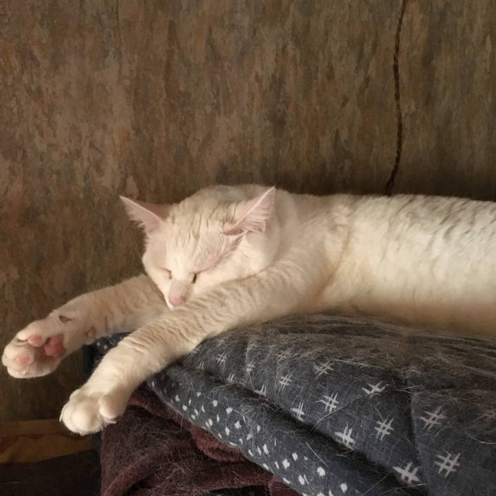 93abf883 9619 4960 8963 3516063eb056