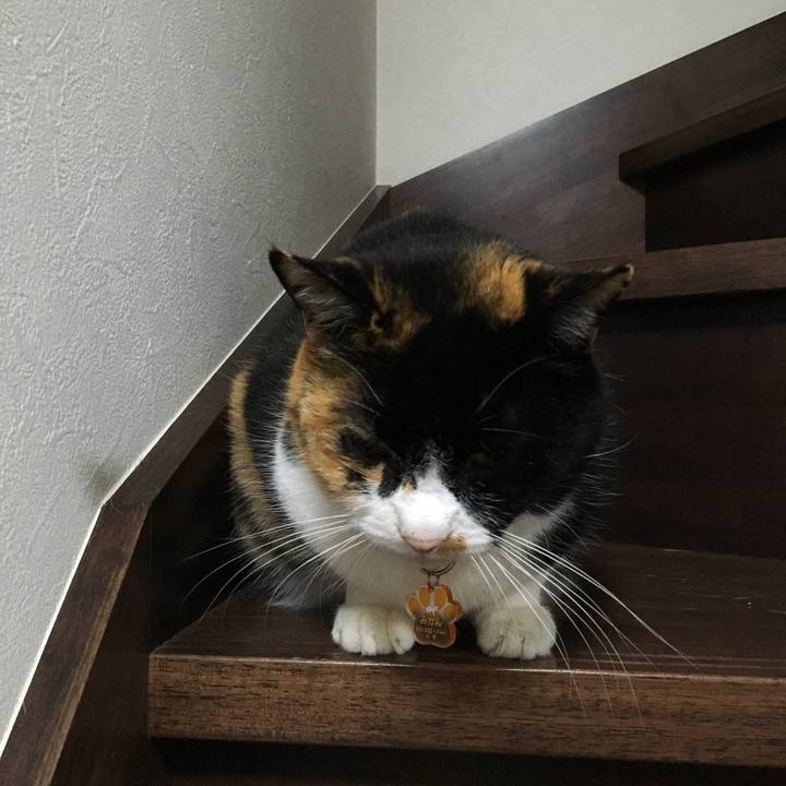 93ac6aac 04de 4993 abcd 26c6f5833345