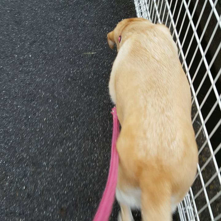 93ad0064 2dbc 44b2 9897 13ce0f52e3d0