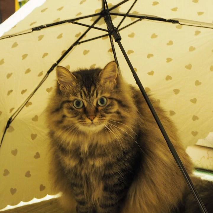 93ad53c1 6607 4108 9dd4 93757bc1f2bb