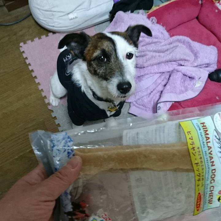 93ae1fbb 74b1 45ee a6eb bec8db50bdba