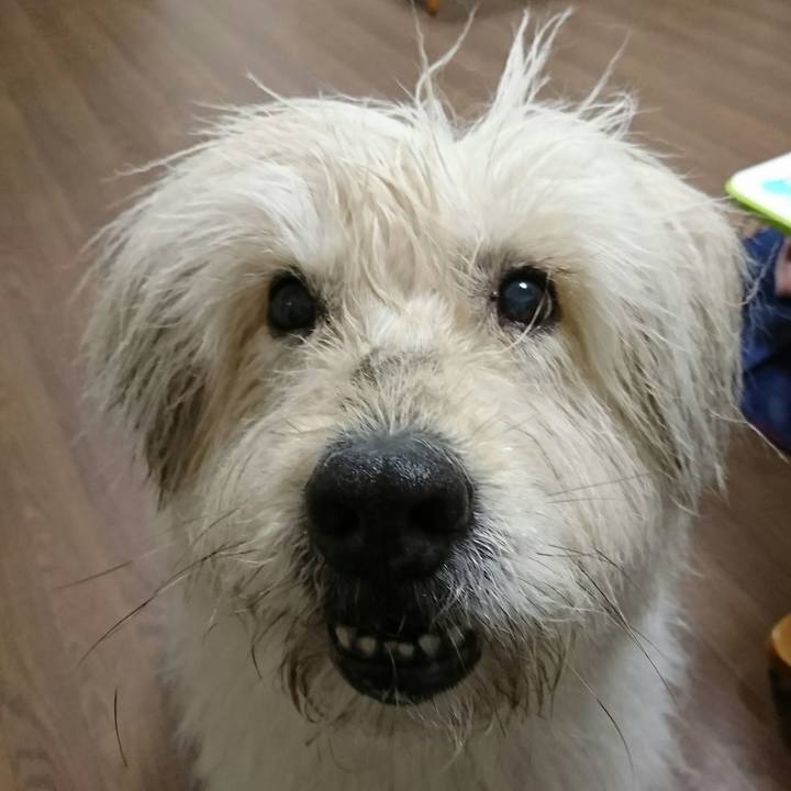 93ae7ede 57e4 4866 947c 2bd78b1c8a3f