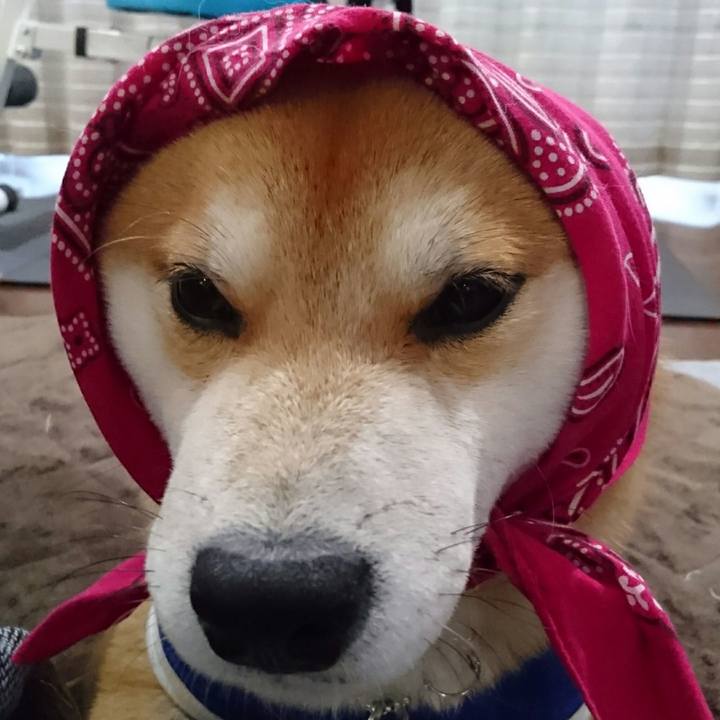 93aefafe c604 4b22 bad2 97e6481bc26d