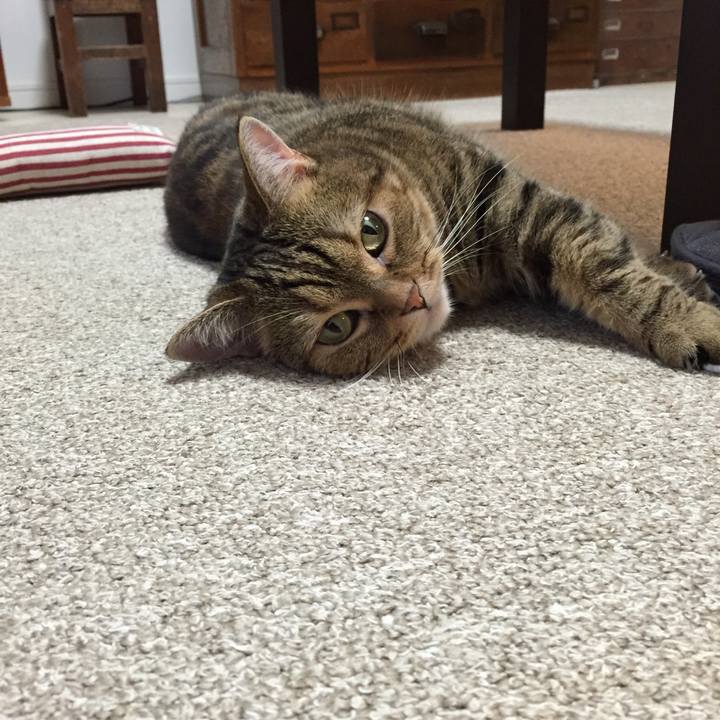 93b038f2 01a0 49cf b81d 7bced47d298f