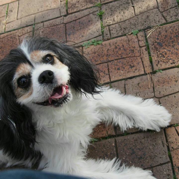 93b08874 19f0 45bb a320 4a14210357be