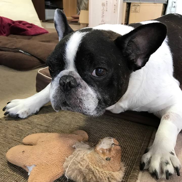 93b0937c 2922 48d7 9546 459b7782df64