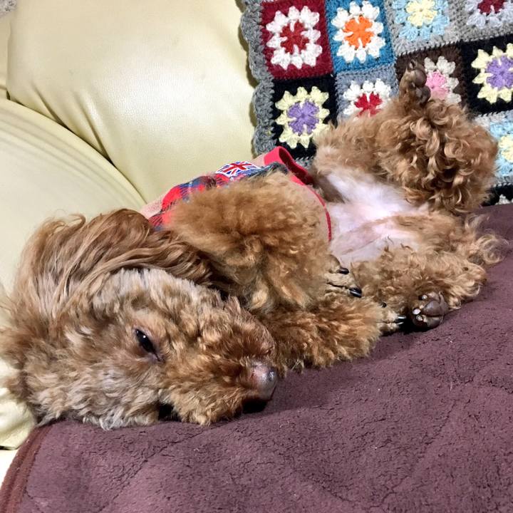 93b09825 cdbf 4b61 b15d 7a36777b1bfe