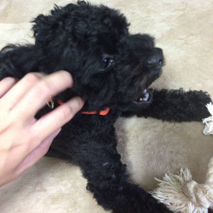 93b12135 b38e 4d99 8174 186bc7cb28d9