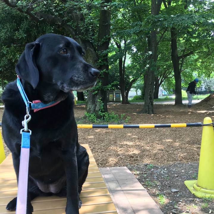 93b1380e d8b6 4a37 b43c eea4c2f0fcf2