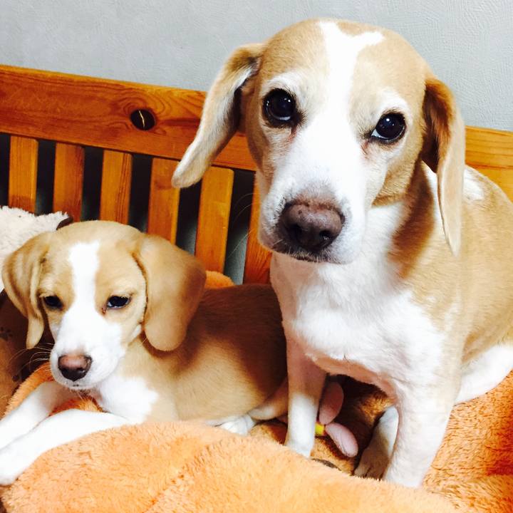 93b2d299 f554 458a 99b1 fadb4b079c2c