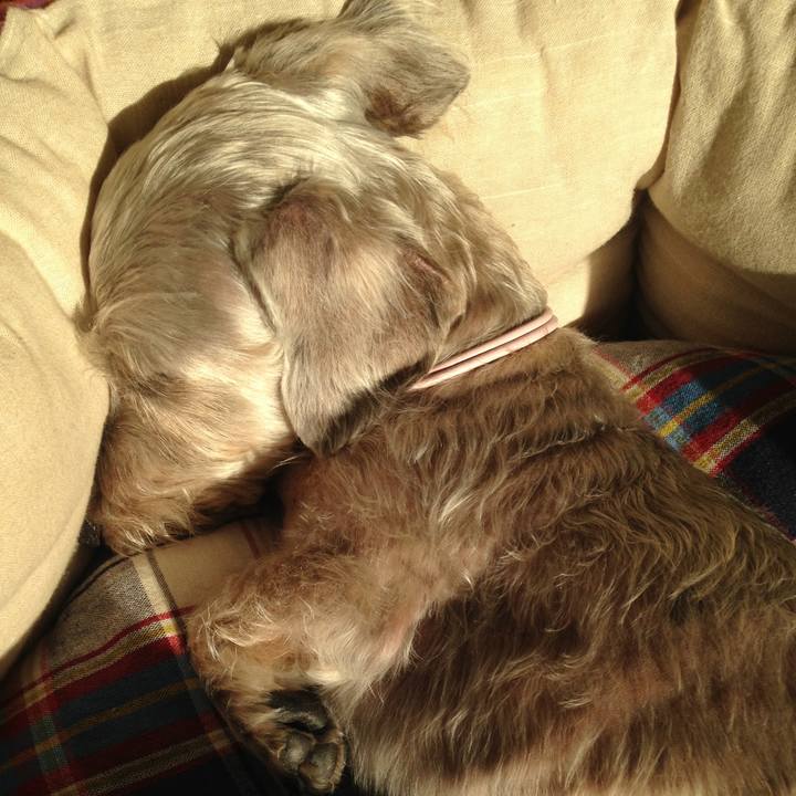 93b31bd6 81fc 485a 8bcd c449b1b7cdad