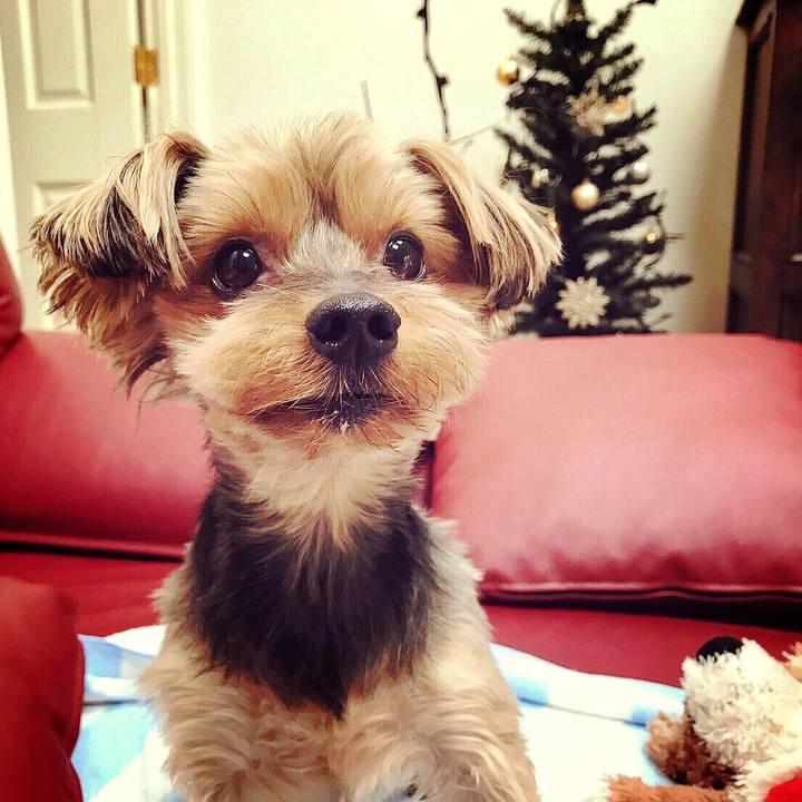 93b33061 bb5d 47dc a8be a17d3b464c1e