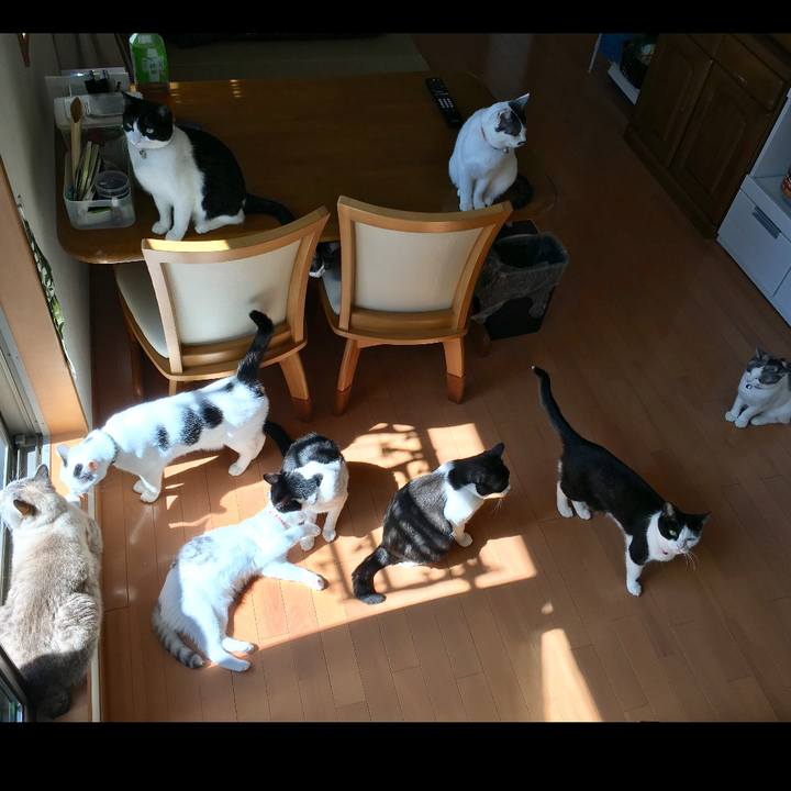 93b361da 8668 43df b21c d6a1da6096f5