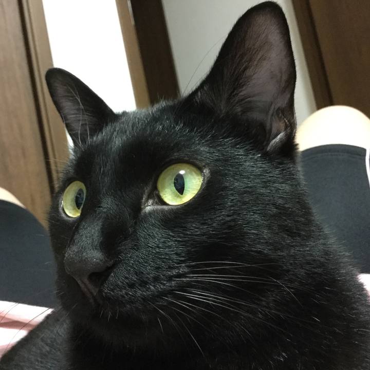 93b3a9d2 47f2 44b3 b2c8 f279a2e3181f