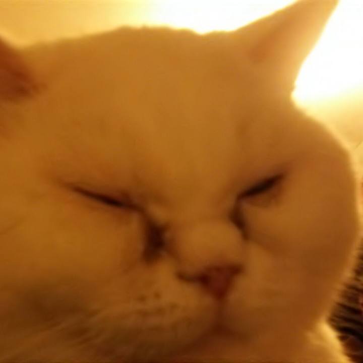 93b42bef 087d 4acd ba9d 4776e079c52b