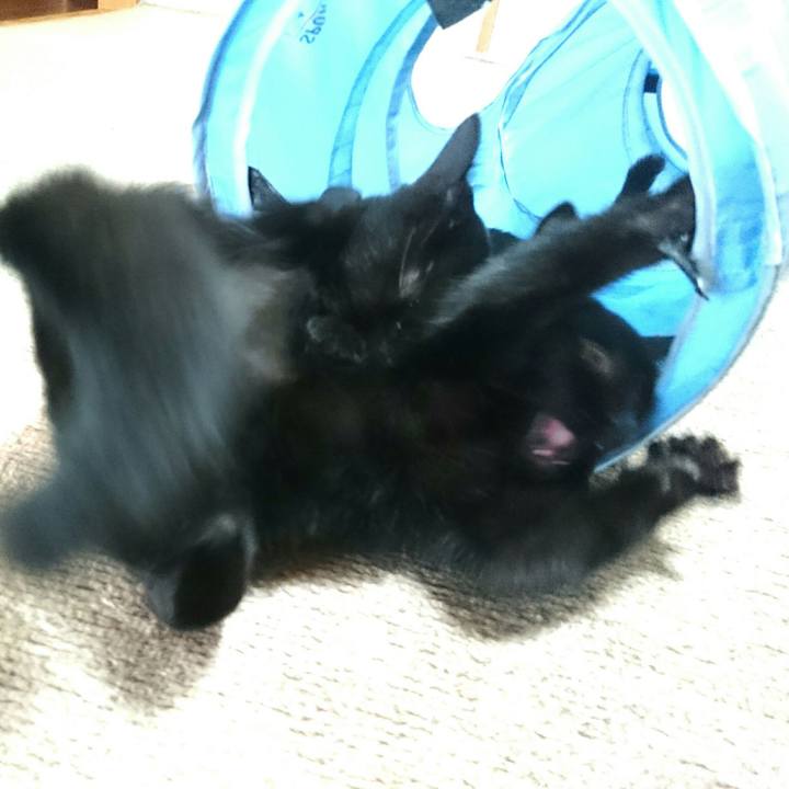 93b4405f 5181 415e a47d 6454e0cd125c