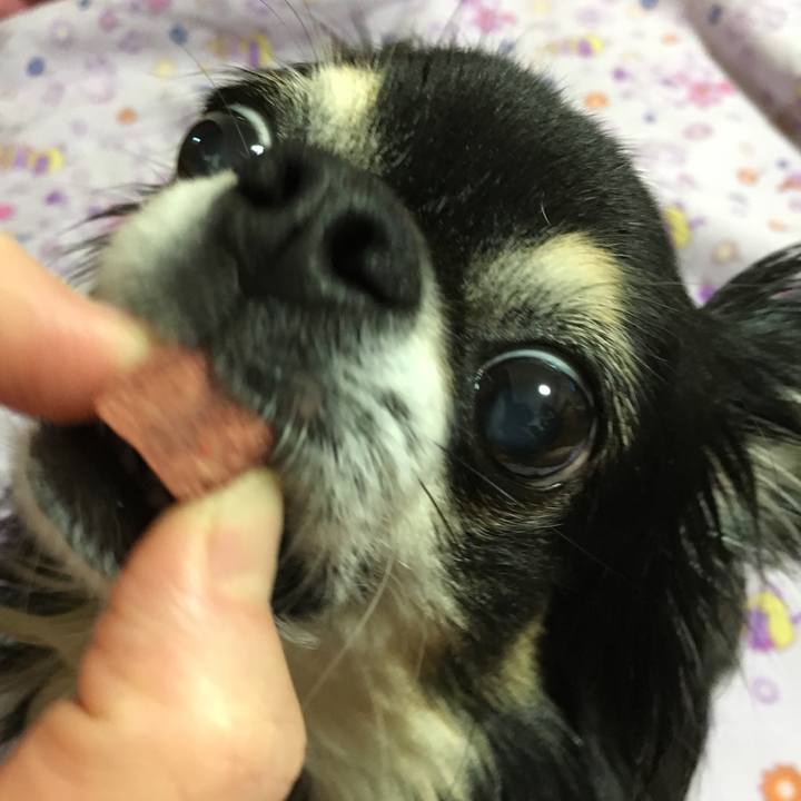 93b4539f 93d1 4e7b b6c7 d17f1a109615