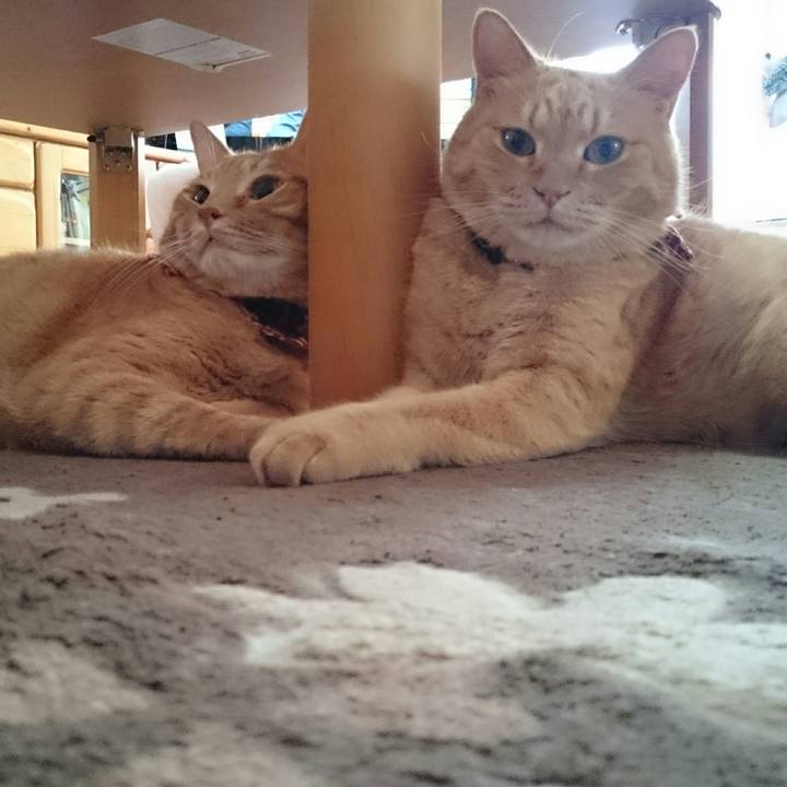 93b53330 9cc7 4af1 b30d bedca28caeec