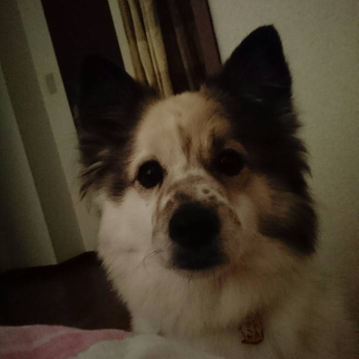 93b55cb1 af04 48c5 88cc 3d98f81ce216