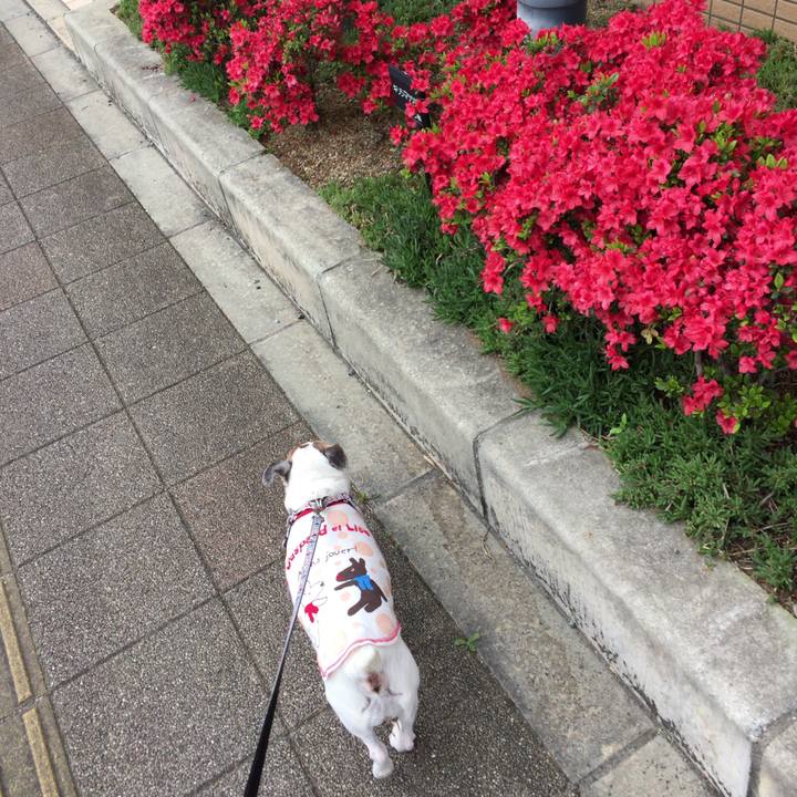 93b6d5ba 7938 4c4b 9def 9652b6b80d49